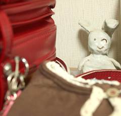 小学生女子のファーストブラはいつから？時期別の人気・おすすめタイプ