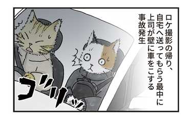 現実世界でも有効になってほしいショートカットキー選手権の優勝は「やり直す」