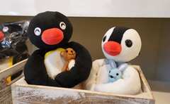 可愛いと涼しいを堪能！誕生40周年を記念した「ピングー展」