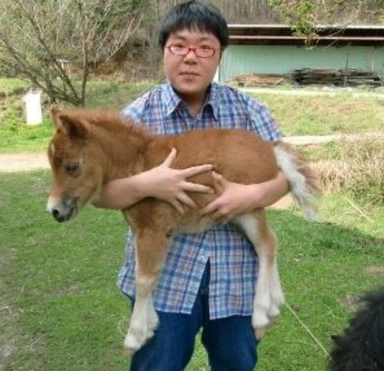 動物と気持ちを通わせていた中学生のころ