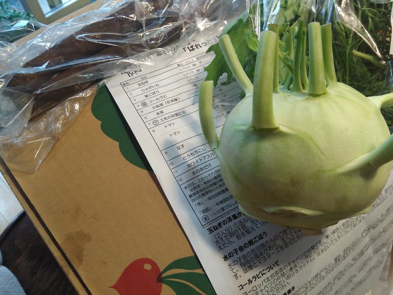 ▲毎週 種類の異なる12 種類の野菜が届きます。スーパーではなかなか買わない野菜が入っていることも多く、楽しみ。こちらは今週入っていた珍しい野菜、コールラビ。