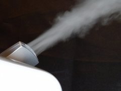 その咳、加湿器のカビが原因かも？加湿器のカビ対策法