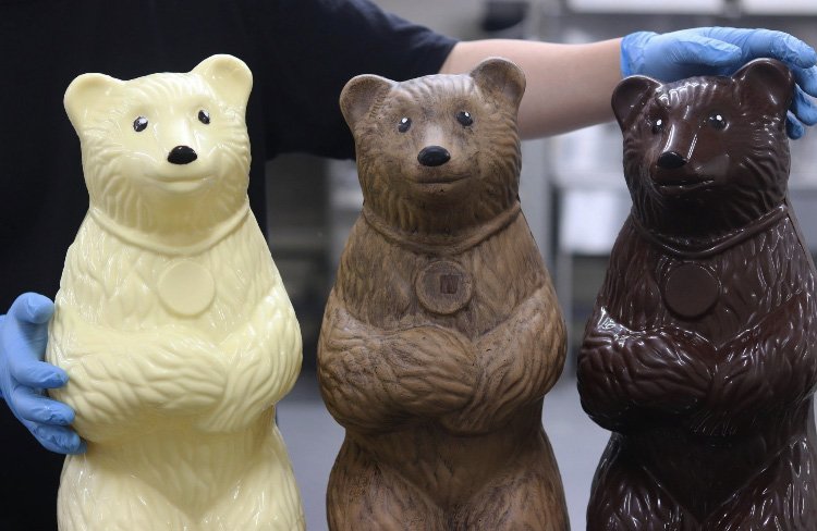 身長50センチの巨大なクマのチョコ
