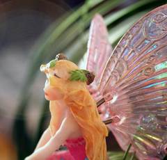 完璧主義なウェンディ症候群を抜け出すには!?ティンカーベルに変身を