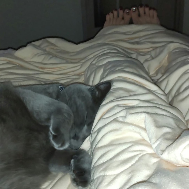 現在は愛猫タウザーくんと仲良く暮らすリンゴさん（本人インスタグラムより）