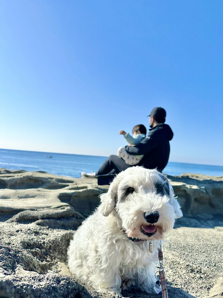 海辺にお出かけした際の家族ショット