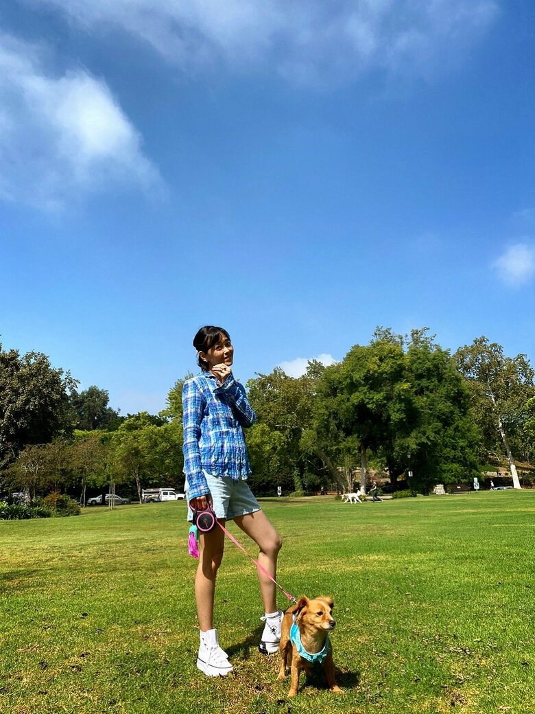 愛犬の散歩で毎日1～2時間歩くのが健康の秘訣