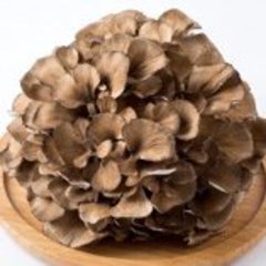 インフルエンザ＆ノロウィルス…冬の2大感染症を「まいたけ」が抑制!!