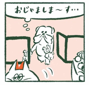 「うらやましすぎるマイホーム」