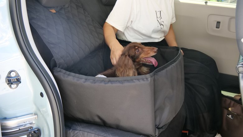 実際にペットを乗せている様子。小型犬用のソフトケースを使用