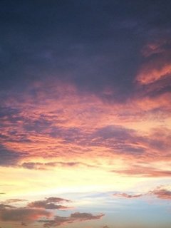 ご存知ですか？市民後見人制度について