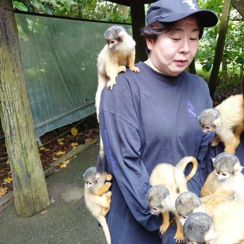 ニューヨークに行くはずが都合で石垣島に行くことになり、リスザルに囲まれる