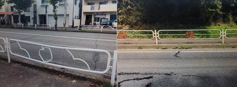 （左）長野県はリンゴ、（右）茨城県のバラ。県の花がバラです。