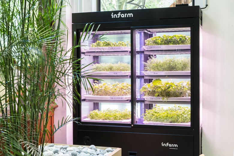 「Infarm」ではバジルやミントなどを栽培。栽培環境は遠隔で操作・管理されている