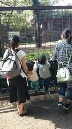 年間パスポートは梅雨～真夏が買い時！