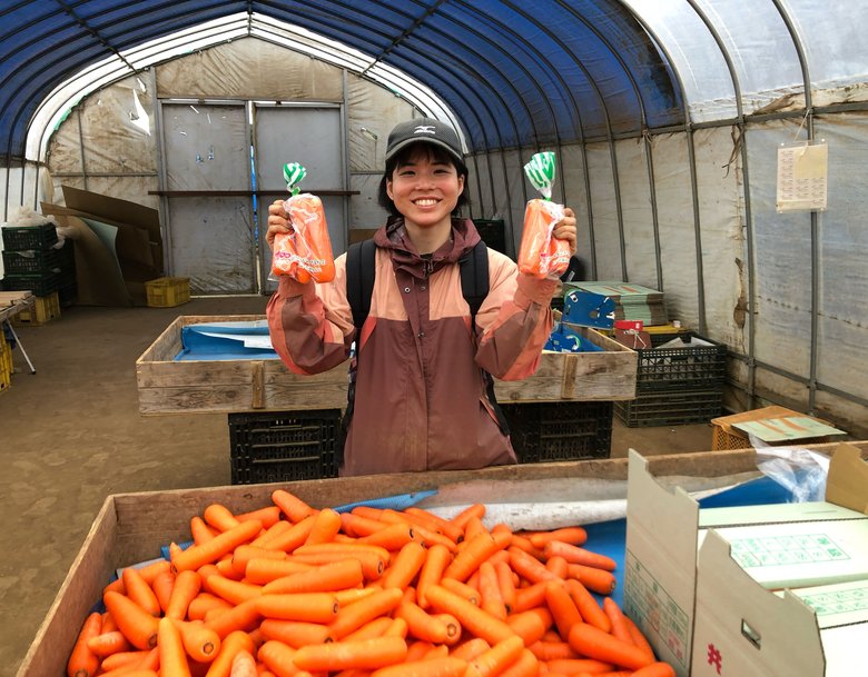 にんじん農家で働く様子