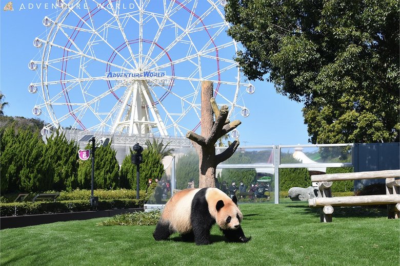 ブリーディングセンターで遊ぶ良浜（22歳）