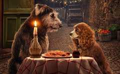 あの名作アニメーションの実写版『わんわん物語』がディズニープラスに登場！