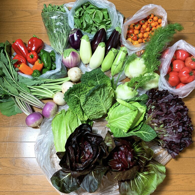 仲良しの農家から送られてきた色とりどりの野菜を使ってパスタやサラダ料理を自炊して堪能