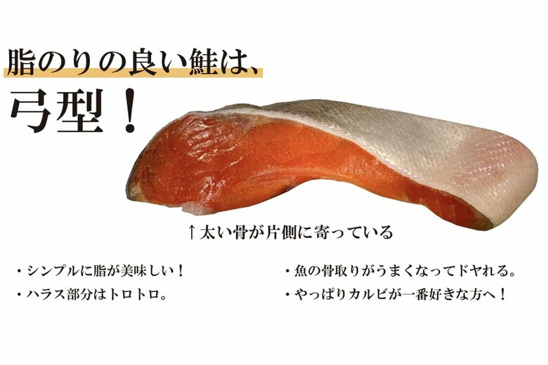 カマに近い「弓型」との特徴。脂のりがいい！