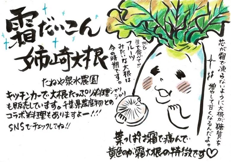 「姉崎大根」とは？（昨年1月に投稿した泉水さんのInstagramより）