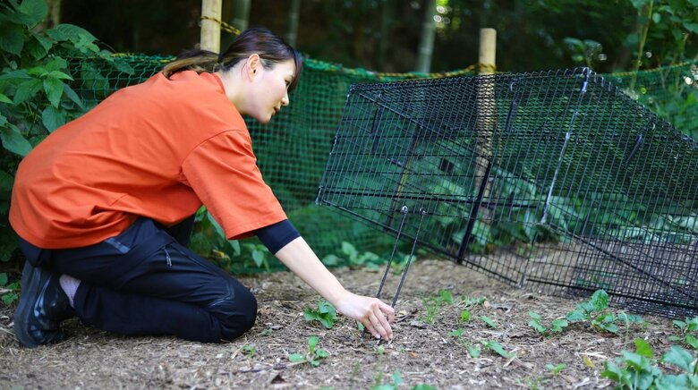 ペット探偵の捜索作業現場の様子