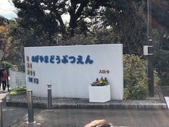 無料なのに盛りだくさん！横浜「野毛山動物園」