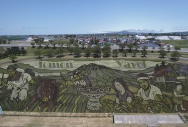  35万人来訪も村はピンチ？「田んぼアート」発祥の地・田舎館村の切実な悩み