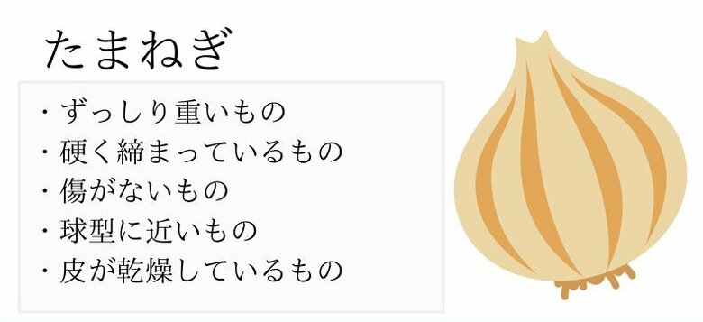 おいしい玉ねぎの見分け方