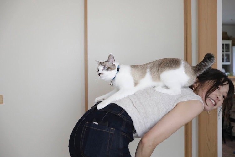 愛猫のアオくんは、おんぶが大好き