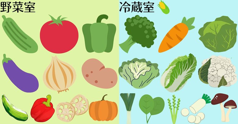 野菜ごとに保存に適した場所がある（画像提供：青髪のテツさん）
