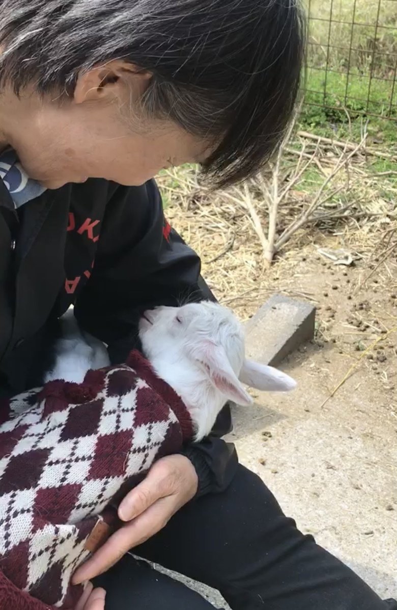 むつざわヤギ牧場で抱っこ体験