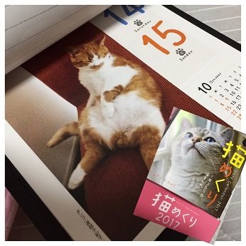 ◆カレンダー写真◆