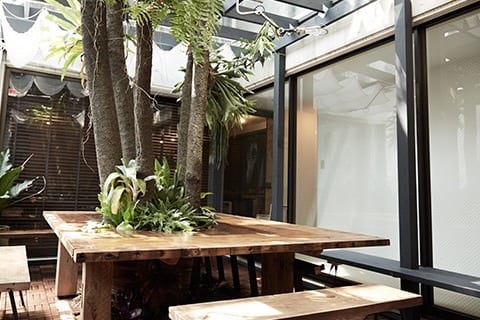 社員の憩いの場となっている中庭。 コロナ禍以前は、週末に観に行った美術展や映画の情報を共有する場所として社員が自然と集まっていた。