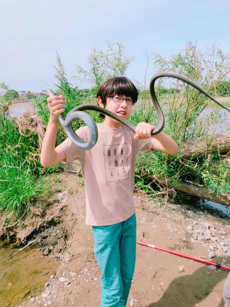 生き物も大好き！コロナ禍の休校中に近所の土手で捕まえたアオダイショウ