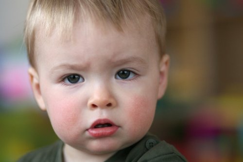 shutterstock_1325339204