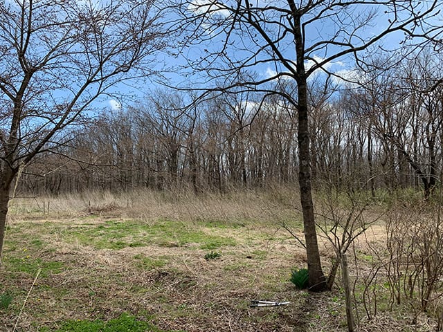 開墾前のリゾナーレ那須「アグリガーデン」