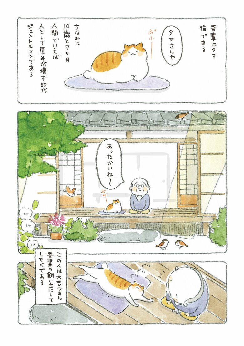 『ねことじいちゃん』1巻2話（KADOKAWA）より (C)ねこまき（3/8）
