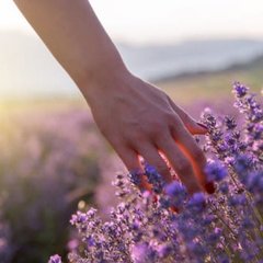 〝自然治癒力〟を高める「フィトテラピー」…注目される理由と活用法