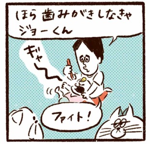 「今夜も歯磨きバトルのゴングが鳴る！」