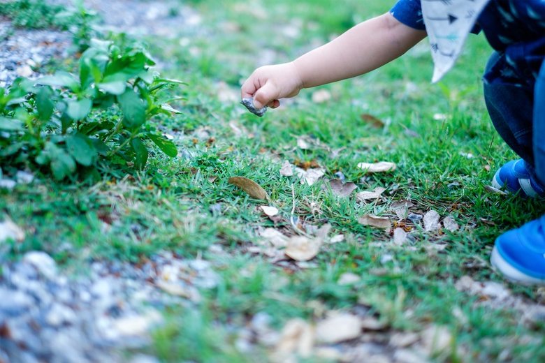 shutterstock_620040344