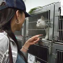 杉本彩「鎖で繋がれ放置された犬の無念…」2度と災害での悲劇を生みたくない #知り続ける