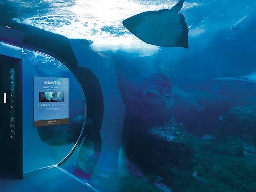 巡礼フォトスポット（館内）