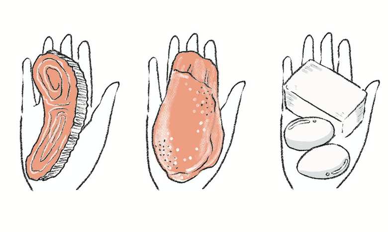 必要なタンパク質量の計り方