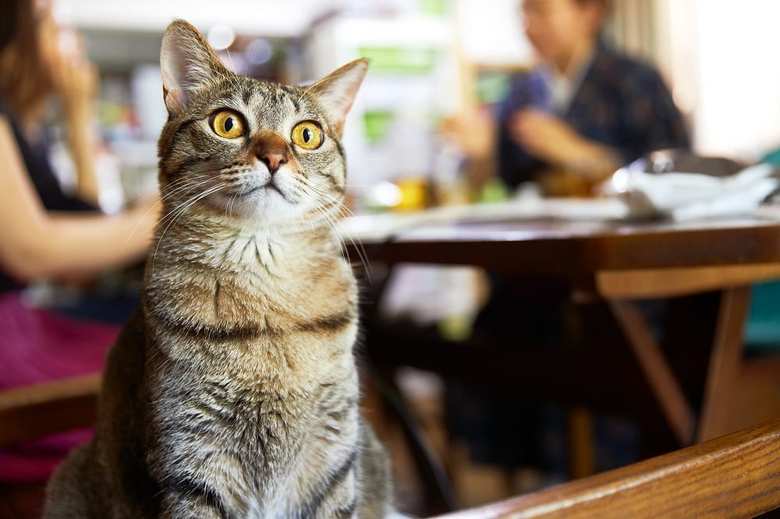 コロナ自粛解除後のとある一日。久しぶりの対面取材は和気あいあいと。