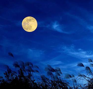 中秋の名月とは？今年のお月見を楽しむ豆知識