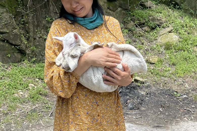 ゆら〜りゆら〜り