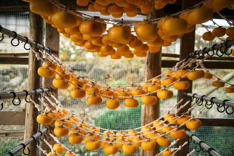 美しく並んだあんぽ柿