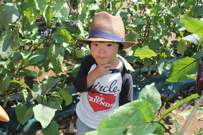 2歳6ヶ月。ドイツ村でナスの収穫体験