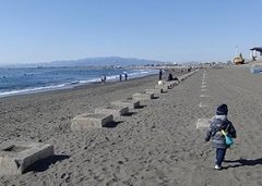 春の行楽にいかが？新江ノ島水族館・魚と海と島グルメ！